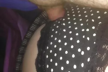 Kicsi gólya bekapja a nagy faszos kép kakast.