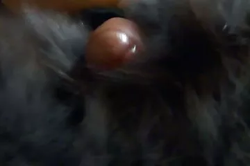 A farka TÚL nagy a puncihoz!. faszkínzás