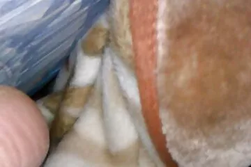 Ó igen! Harisnyában basztam meg ezt nagyfasz porno a gyönyörű seggét. Új úrnőm