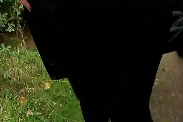 Profi amatőr pornó, tapasztalt nagy farkak páros forgatás.